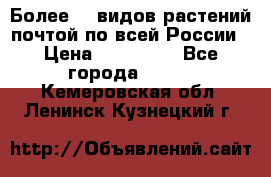 Более200 видов растений почтой по всей России › Цена ­ 100-500 - Все города  »    . Кемеровская обл.,Ленинск-Кузнецкий г.